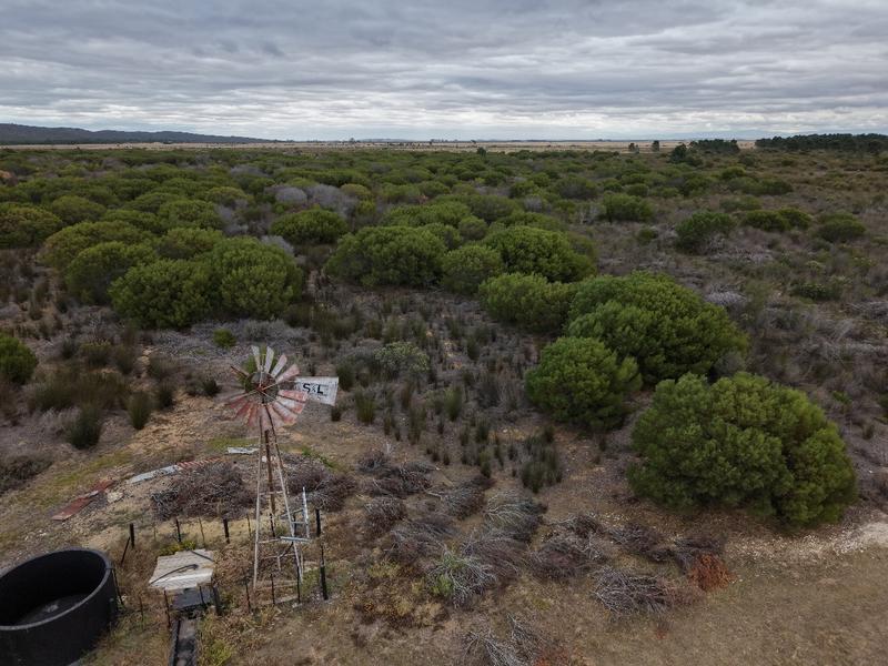 1 Bedroom Property for Sale in Riversdale Western Cape